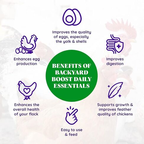 Backyard Boost Daily Essentials علف الدجاج | أغذية عالية البروتين للدجاج البياض | حقيبة 2.5 جنيه in Kuwait