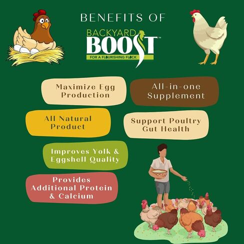 Backyard Boost Daily Essentials علف الدجاج | أغذية عالية البروتين للدجاج البياض | حقيبة 2.5 جنيه in Kuwait