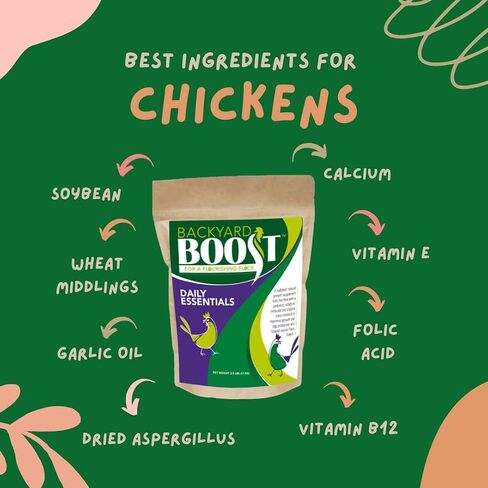Backyard Boost Daily Essentials علف الدجاج | أغذية عالية البروتين للدجاج البياض | حقيبة 2.5 جنيه in Kuwait