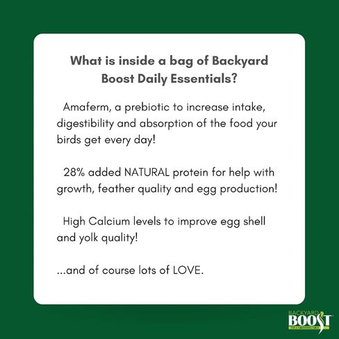 Backyard Boost Daily Essentials علف الدجاج | أغذية عالية البروتين للدجاج البياض | حقيبة 2.5 جنيه in Kuwait