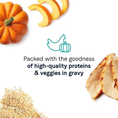 Canidae وعاء متوازن من طعام القطط الرطب، وصفة الدجاج والقرع، 3 أونصة. (القضية رقم 24) in Kuwait