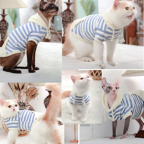 ملابس القطط بدون شعر من Bonaweite لربيع الخريف والشتاء، وبدلة بيجامة للقطط لأبو الهول، وكورنيش ريكس، وديفون ريكس، وبيتربالد... in Kuwait
