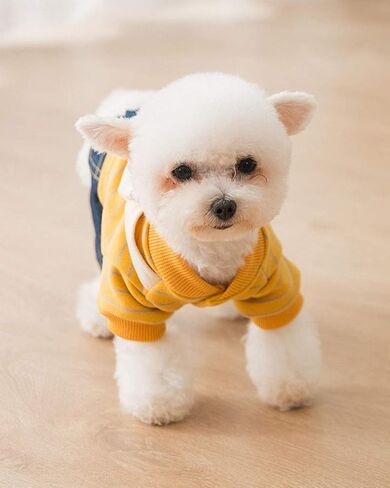Dog Denim Clothes Pet Adorable Sweatshirt & Jeans Outfits for Medium Small Dogs Puppy Jumpsuit Cat Pants in Saudi Arabia