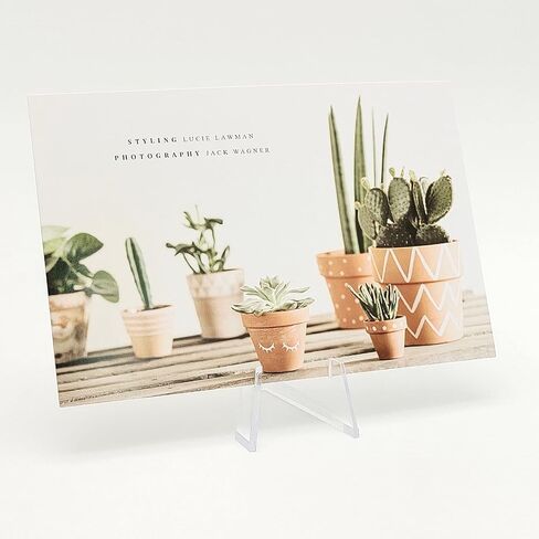 15 عبوة من حامل العملات المعدنية من الأكريليك حامل حامل صغير من كيربورت لعرض مجموعات صغيرة للعملات المعدنية وجيوب وساعات ميداليات in Kuwait