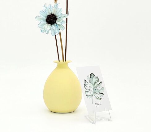 15 عبوة من حامل العملات المعدنية من الأكريليك حامل حامل صغير من كيربورت لعرض مجموعات صغيرة للعملات المعدنية وجيوب وساعات ميداليات in Kuwait