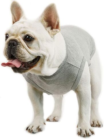 قمصان قطنية بدون أكمام من Lucky Petter Dog للكلاب، تي شيرت سادة بدون أكمام، ناعم ومسامي، قميص للكلاب الأليفة (X-Small، أخضر) in Kuwait