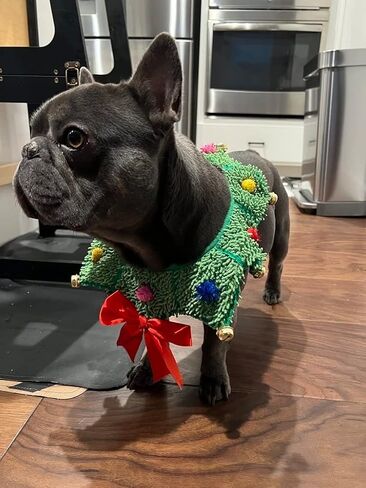 زي ComfyCamper لإكليل عيد الميلاد برقبة Scrunchie للكلاب - سترة قبيحة لعيد الميلاد كبيرة ومتوسطة وصغيرة الحجم، مقاس كبير، أخضر in Kuwait