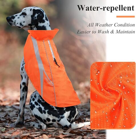 VIVAGLORY سترات أمان للكلاب، سترات مقاومة للماء للكلاب، معاطف عاكسة وخفيفة الوزن، أخضر فلوري X-Large in Kuwait