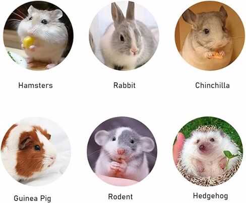 زجاجة مياه هامستر، 3 في 1 زجاجة مياه معلقة على شكل خنزير غينيا، موزع مياه أوتوماتيكي صغير سعة 80 مل مع قاعدة حاوية طعام لسنجاب فأر الهامستر، والحيوانات الأليفة الصغيرة in Kuwait