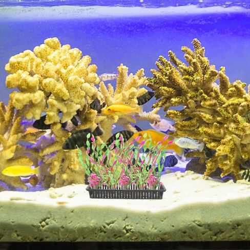 Fish Tank 5pcs Hanging Aquarium Planter Cups, Aquatic Water Pots Plant Containers, Aquarium Decorations Plants Pot for Live Aquarium Decor Fish Tank Decorations in Saudi Arabia