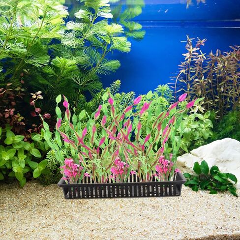 Fish Tank 5pcs Hanging Aquarium Planter Cups, Aquatic Water Pots Plant Containers, Aquarium Decorations Plants Pot for Live Aquarium Decor Fish Tank Decorations in Saudi Arabia