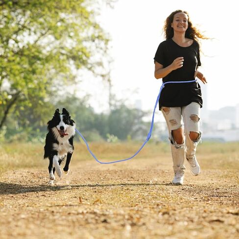 9-in-1 Hands Free Dog Leash Crossbody/Waist Black Small Dogs in Kuwait