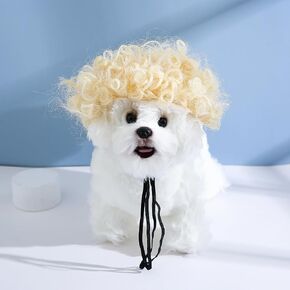 TESSVEYA Funny Dog Cat Cosplay Wig, Perm Styling Dog Headwear,Wigs for Small Medium Dogs and Cats in Kuwait