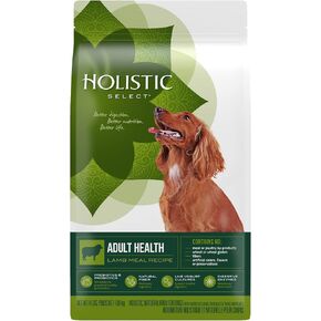 Holistic Select Natural Dry Dog Food, Large & Giant Breed Puppy Recipe, 15-Pound Bag in Saudi Arabia