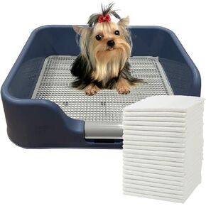 [DogCharge] PEE PAD 300 PCS