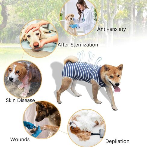 Dog Onesie Dog Surgery Recovery Suit for Male Female Surgical Suit for Spay and Neuter E-Collar & Cone Alternative Anti-Biting Lick Wound in Kuwait