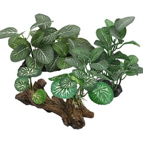 نباتات حوض السمك الحريرية لسمكة بيتا، 3 قطع من البلاستيك العائمة خزان الأسماك النباتي ملحقات صغيرة الاصطناعي تحت الماء العشب الماء المائي in Kuwait