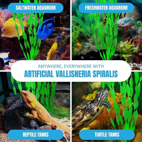 نبات فاليسنيريا سبيراليس من جور الاصطناعي، ديكور حوض السمك، خلق غابة مائية، صيد حب استكشاف الخضراء، حاجز جذاب للحيوانات الأليفة العدوانية، عبوة قيمة مثالية لدبابات المجتمع، 10 قطع in Kuwait
