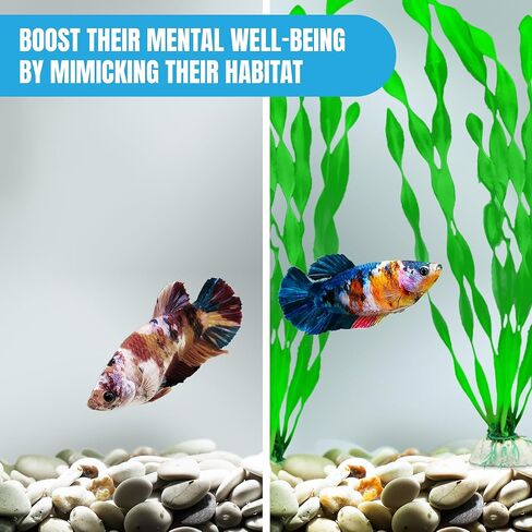 نبات فاليسنيريا سبيراليس من جور الاصطناعي، ديكور حوض السمك، خلق غابة مائية، صيد حب استكشاف الخضراء، حاجز جذاب للحيوانات الأليفة العدوانية، عبوة قيمة مثالية لدبابات المجتمع، 10 قطع in Kuwait