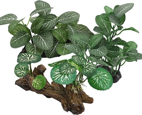 نباتات حوض السمك الحريرية لسمكة بيتا، 3 قطع من البلاستيك العائمة خزان الأسماك النباتي ملحقات صغيرة الاصطناعي تحت الماء العشب الماء المائي in Kuwait