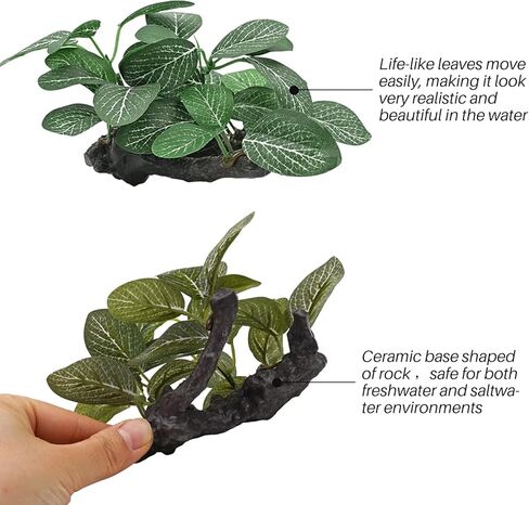 نباتات حوض السمك الحريرية لسمكة بيتا، 3 قطع من البلاستيك العائمة خزان الأسماك النباتي ملحقات صغيرة الاصطناعي تحت الماء العشب الماء المائي in Kuwait