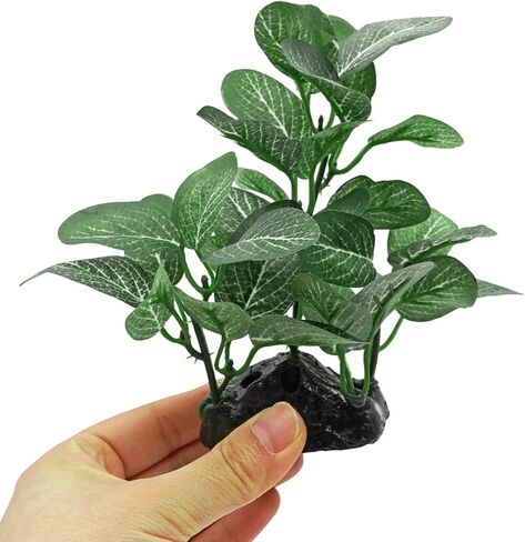 نباتات حوض السمك الحريرية لسمكة بيتا، 3 قطع من البلاستيك العائمة خزان الأسماك النباتي ملحقات صغيرة الاصطناعي تحت الماء العشب الماء المائي in Kuwait