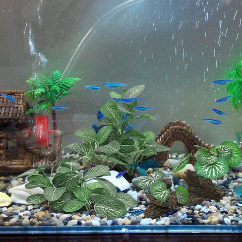 نباتات حوض السمك الحريرية لسمكة بيتا، 3 قطع من البلاستيك العائمة خزان الأسماك النباتي ملحقات صغيرة الاصطناعي تحت الماء العشب الماء المائي in Kuwait