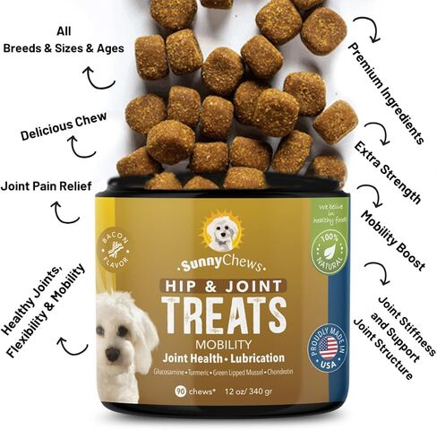 صاني تشيوز مضغ الورك والمفاصل للكلاب| ساعد في تخفيف الألم وتخفيف تصلب المفاصل مع MSM الجلوكوزامين كوندرويتين للكلاب | ملحق مفصل الكلب مع لحم الخنزير المقدد | لدغات الحركة للكلاب، 90 قطعة مضغ، 12 أونصة in Kuwait