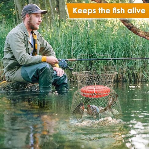 seloom 2PCS سلة الأسماك الأسلاك الفولاذية المجلفنة، سلة جراد البحر الأسماك القابلة للطي، قفص سلة الصيد المحمولة للأسماك في الهواء الطلق، سلال الأسماك المحمولة القابلة للطي ملحقات الصيد، الذهب in Kuwait