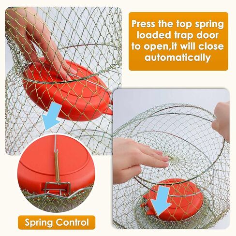 seloom 2PCS سلة الأسماك الأسلاك الفولاذية المجلفنة، سلة جراد البحر الأسماك القابلة للطي، قفص سلة الصيد المحمولة للأسماك في الهواء الطلق، سلال الأسماك المحمولة القابلة للطي ملحقات الصيد، الذهب in Kuwait