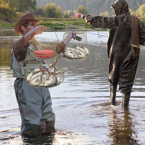 seloom 2PCS سلة الأسماك الأسلاك الفولاذية المجلفنة، سلة جراد البحر الأسماك القابلة للطي، قفص سلة الصيد المحمولة للأسماك في الهواء الطلق، سلال الأسماك المحمولة القابلة للطي ملحقات الصيد، الذهب in Kuwait