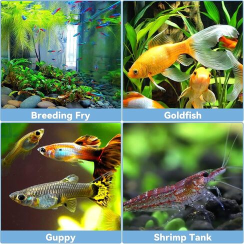 Aquarium Sponge Filter - 4W 80GPH Fish Tank Filters with Double Sponge: Electric Power Ultra Quiet Aquarium Filter for 15- to 55 Gallon in Saudi Arabia