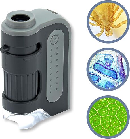 Carson MicroBrite Plus 60x-120x LED Lighted Pocket Microscope for Kids, Portable Handheld Microscope for Adults, Mini Microscope for Student Science Lab, STEM Educational Portable Microscope (MM-300) in Kuwait