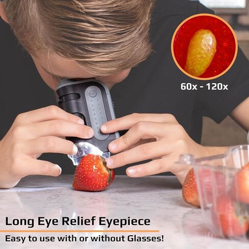 Carson MicroBrite Plus 60x-120x LED Lighted Pocket Microscope for Kids, Portable Handheld Microscope for Adults, Mini Microscope for Student Science Lab, STEM Educational Portable Microscope (MM-300) in Kuwait
