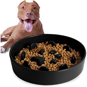 Slow Feeder Dog Bowls, Ceramic Fun Slow Eater Bowl for Small Medium Breed (White) in Kuwait
