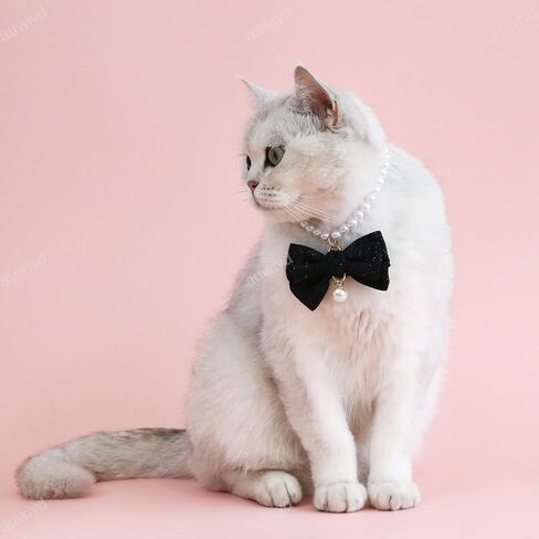 auwiyd 2 جهاز كمبيوتر شخصى اللؤلؤ طوق الكلب قلادة قابل للتعديل ربطة عنق طوق ربطة العنق مع اللؤلؤ فو الحيوانات الأليفة الملحقات لحفل زفاف عيد ميلاد القوس لطيف الحيوانات الأليفة دائرة الرقبة (متوسطة) in Kuwait