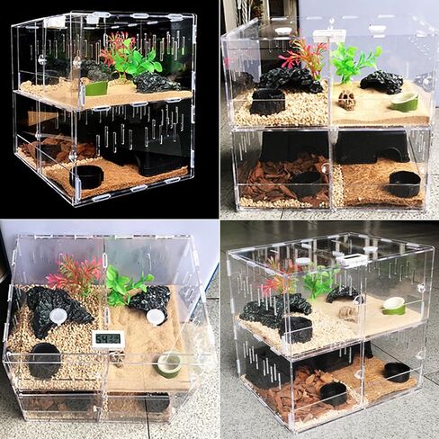 TREELF خزان تررم للزواحف، 4 شبكات صندوق ضميمة قفص الزواحف، تررم العنكبوت، للزواحف الصغيرة التي تعيش في الأشجار والبرمائيات والعناكب وغيرها من اللافقاريات in Kuwait