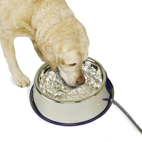 K&H Pet Products Thermal-Bowl Outdoor Heated Cat & Dog Water Bowl Stainless Steel 102 Ounces in Saudi Arabia