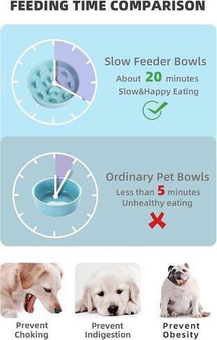 Slow Feeder Dog Bowls, Ceramic Fun Slow Eater Bowl for Small Medium Breed (White) in Saudi Arabia