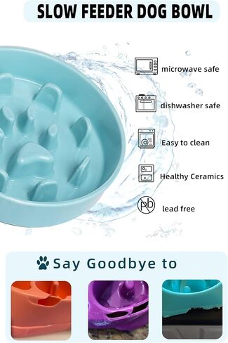 Slow Feeder Dog Bowls, Ceramic Fun Slow Eater Bowl for Small Medium Breed (White) in Saudi Arabia