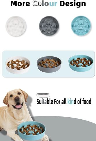 Slow Feeder Dog Bowls, Ceramic Fun Slow Eater Bowl for Small Medium Breed (White) in Saudi Arabia
