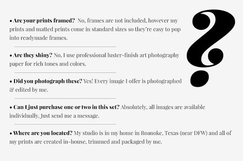 Blue Coastal Beach Wall Decor Set of 4 SMALL 5x7" Unframed Photo Prints - Blue, Turquoise, Aqua Ocean Landscape Pictures for Office, Bathroom, or Bedroom Wall Decor in Kuwait