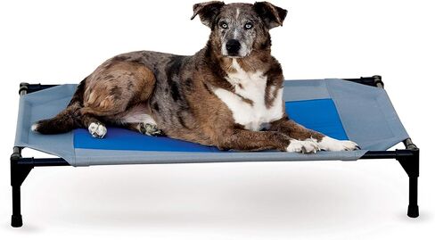 سرير الحيوانات الأليفة من K&H Pet Products، بساط تبريد مرتفع للكلاب، سرير كلب رائع للكلاب الكبيرة، معدات تخييم الكلاب، سرير كلب مرتفع في الهواء الطلق مع مركز تبريد - رمادي/أزرق، كبير 30 × 42 × 7 بوصة in Kuwait
