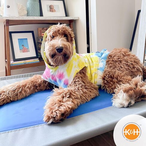 سرير الحيوانات الأليفة من K&H Pet Products، بساط تبريد مرتفع للكلاب، سرير كلب رائع للكلاب الكبيرة، معدات تخييم الكلاب، سرير كلب مرتفع في الهواء الطلق مع مركز تبريد - رمادي/أزرق، كبير 30 × 42 × 7 بوصة in Kuwait