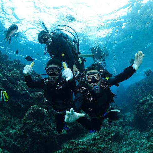 WACOOL Adults Snorkeling Snorkel Scuba Diving Package Set Gear with Travel Full Foot Short Swim Pocket Fins Anti-Fog Coated Glass Silicon Mouth Piece Purge Valve and Anti-Splash in Kuwait