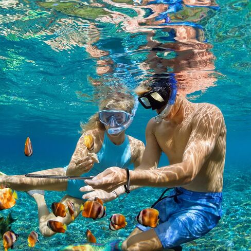 سيهود 4 قطع عصا غوص من الالومنيوم 13.8 انش، عصا مؤشر الاصبع على شكل سرطان البحر شديدة التحمل مع حبل قصير للرياضات تحت الماء والغطس ومعدات الغوص in Kuwait