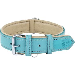 Riparo Leather Dog Collar, Large Dog Collar, Padded Heavy Duty Dog Collar with Dog Tag Holder, Orange Dog Collar (Large, Orange) in Kuwait