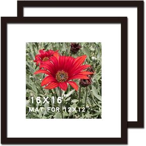14x14 Picture Frame Black 2 Pack Solid Wood for Mat 10x10 Wall Mounting Square Poster Photo Frames