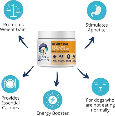 Under the Weather Ready Cal Topper for Dogs | High-Calorie, Weight Gainer, Appetite Stimulant, Energy Booster Pet Suppliment | 30 Scoops (Scoop Included) in Kuwait