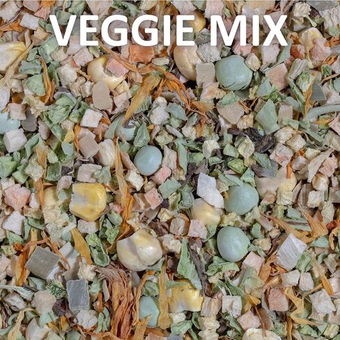 حزمة متنوعة من وجبة الأعشاب الصحية الفورية لأغذية التنين الصغيرة (7 × طعام تنين صغير، 4 × مزيج فواكه، 3 × مزيج نباتي، و1 × طبق تغذية) in Kuwait